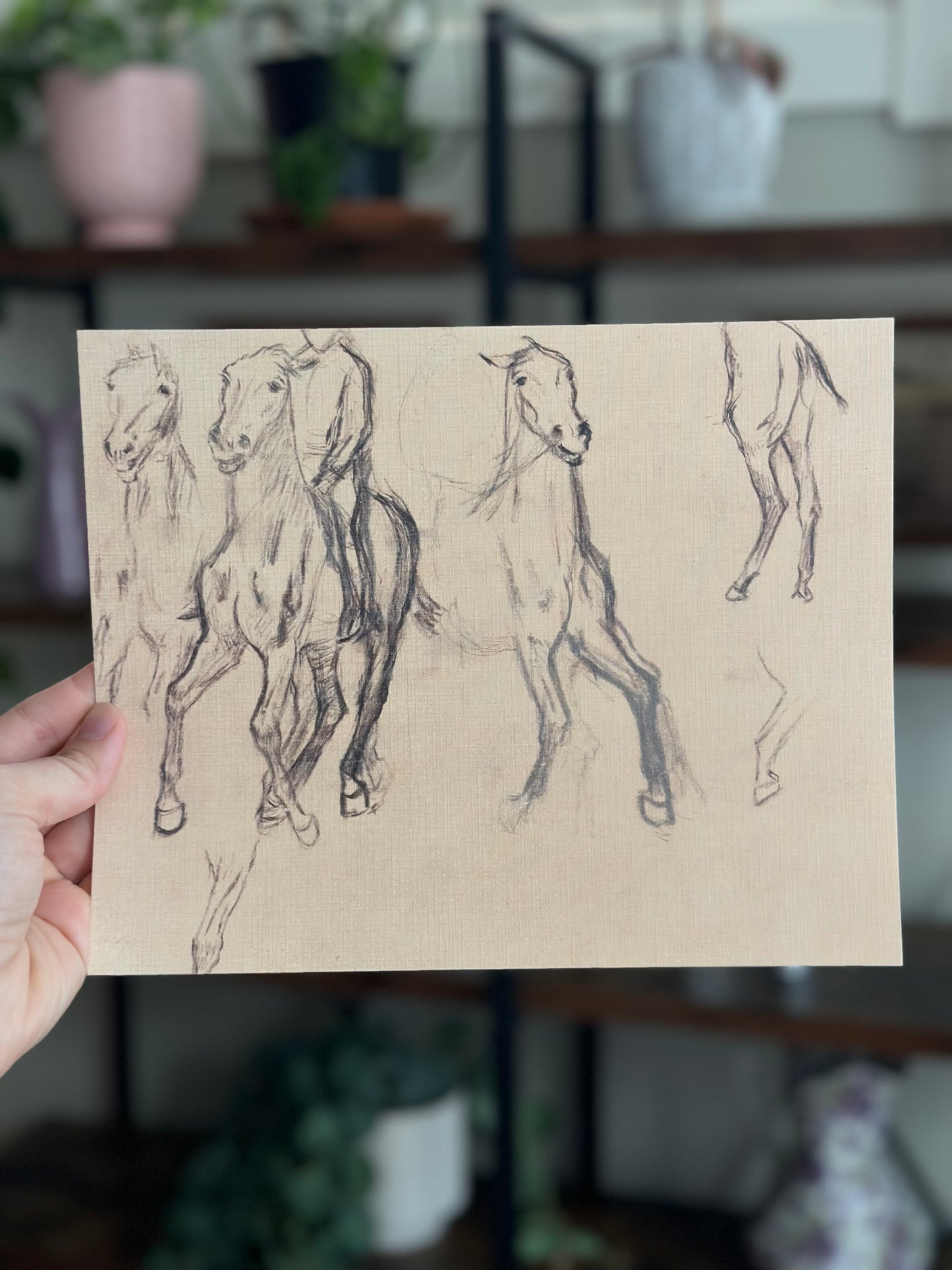 Study of Horses